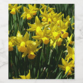Yellow Daffodien I Cheery Spring Blumen Weinetikett (Einzelnes Label)