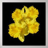 Yellow Daffodil Blume Bouquet Poster (Vorne)