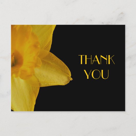 Yellow Daffodil Danke, Postcard Postkarte (Vorderseite)