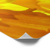 Yellow Daffodil John 3:16 für Gott So geliebtes Po Poster (Ecke)