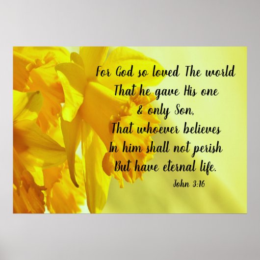Yellow Daffodil John 3:16 für Gott So geliebtes Po Poster (Vorne)