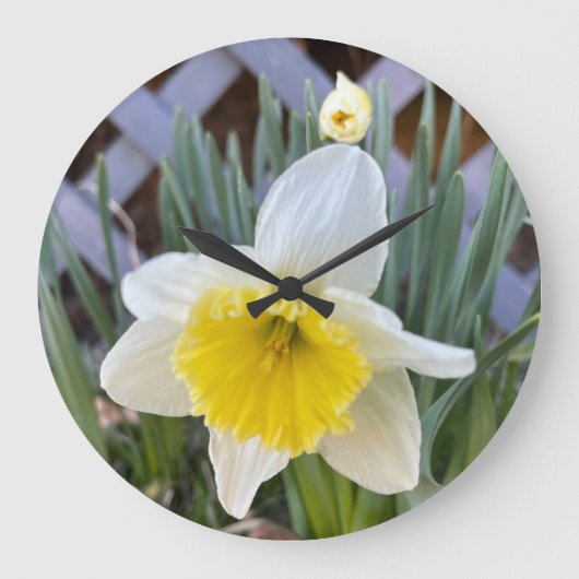 Yellow Daffodils #1 Große Wanduhr (Vorderseite)