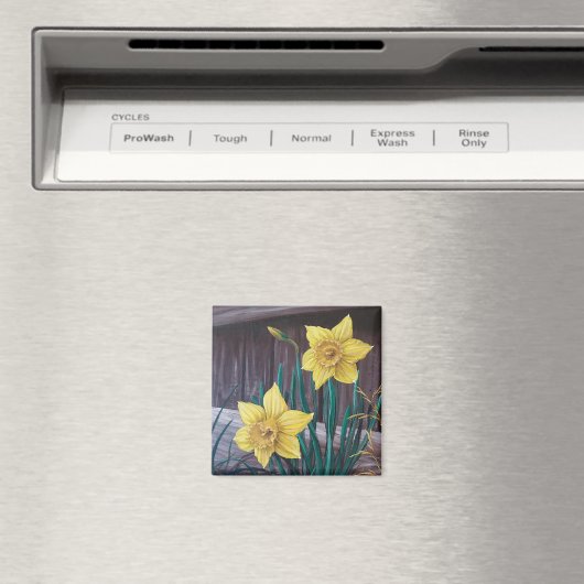 Yellow Daffodils Magnet (In Situ (Geschirrspüler))