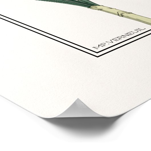 Yellow Daffodils Verneuil Illustration Poster (Ecke)