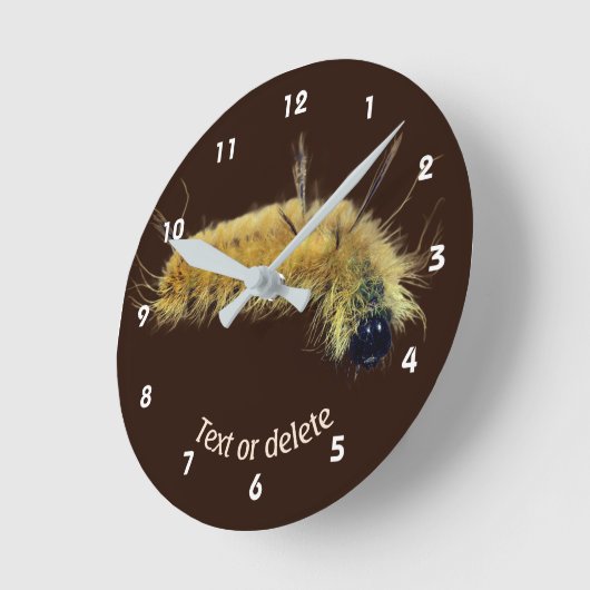 Yellow Dagger Moth Caterpillar Personalized Runde Wanduhr (Winkel)