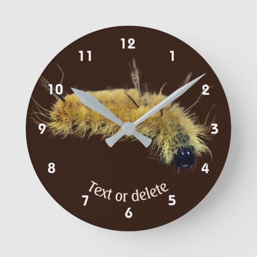 Yellow Dagger Moth Caterpillar Personalized Runde Wanduhr (Vorderseite)