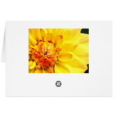 Yellow Dahlia (Rückseite Horizontal)