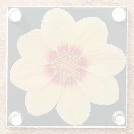 Yellow Dahlia auf Black Floral Glasuntersetzer (Rückseite)