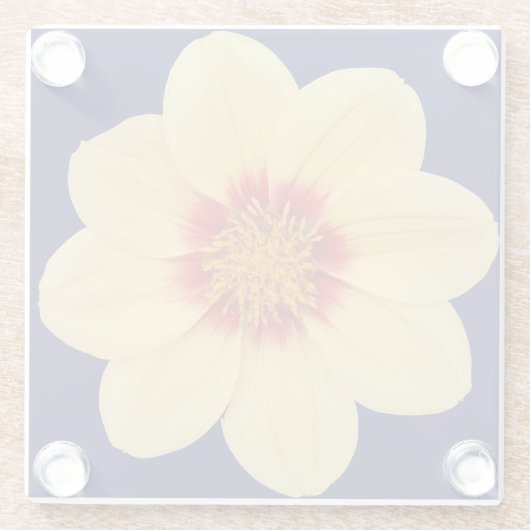 Yellow Dahlia auf Blue Floral Glasuntersetzer (Rückseite)