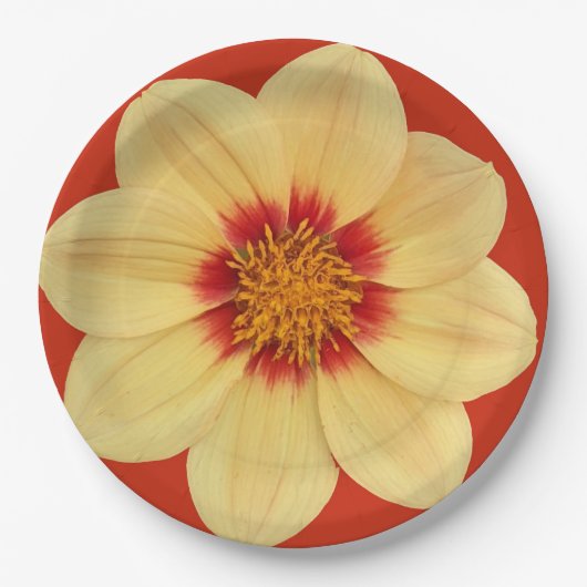 Yellow Dahlia auf Red Floral Pappteller (Vorderseite)