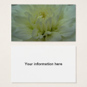 Yellow Dahlia Blume (Vorne & Hinten)