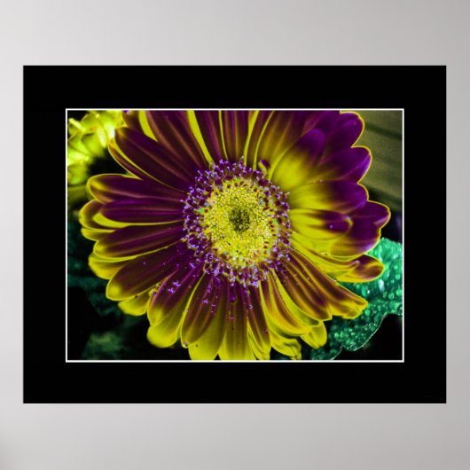 Yellow Dahlia Blume Abstrakte Kunst Poster (Vorne)