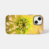Yellow Dahlia Blume iPhone Hülle (Rückseite (Horizontal))