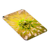 Yellow Dahlia Blume Magnet (Rechte Seite)