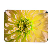 Yellow Dahlia Blume Magnet (Horizontal)