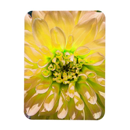 Yellow Dahlia Blume Magnet (Vertikal)