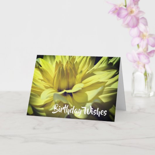 Yellow Dahlia Blume Petals Birthday Karte (Orchidee)