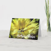 Yellow Dahlia Blume Petals Birthday Karte (Vorderseite)