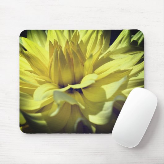 Yellow Dahlia Blume Petals Up Nah Mousepad (Mit Mouse)