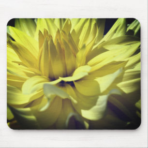Yellow Dahlia Blume Petals Up Nah Mousepad