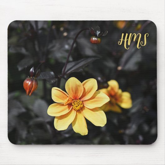 Yellow Dahlia Blume Wisley Gardens Monongram Mousepad (Vorne)