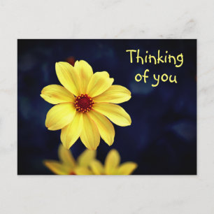 Yellow Dahlia Elegante Blume Denken Sie an Sie Feiertagspostkarte