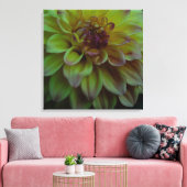 Yellow Dahlia Leinwanddruck (Insitu (Wohnzimmer))