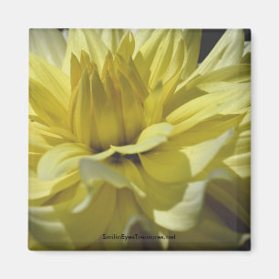 Yellow Dahlia Macro Flower Fotomagnet Magnet