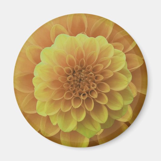 Yellow Dahlia Magnet (Vorne)