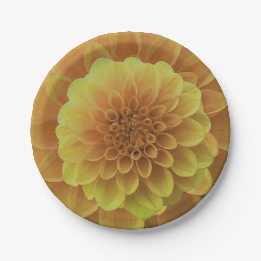 Yellow Dahlia Pappteller (Vorderseite)