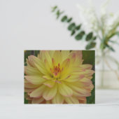 Yellow Dahlia Postcard Postkarte (Stehend Vorderseite)