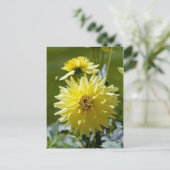 Yellow Dahlia Postcard Postkarte (Stehend Vorderseite)