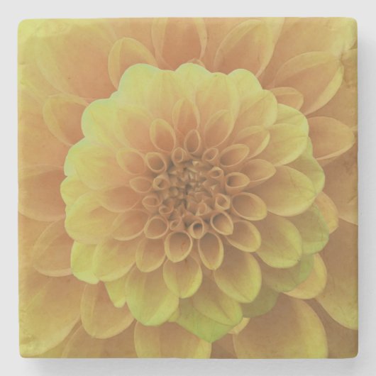 Yellow Dahlia Steinuntersetzer (Vorderseite)