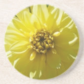 Yellow Dahlia Untersetzer (Vorne)