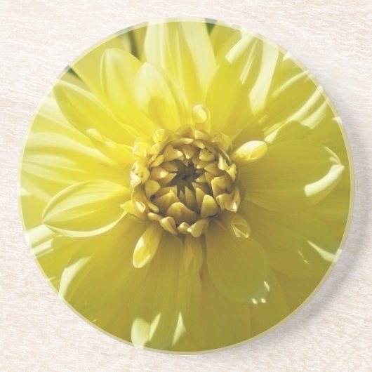 Yellow Dahlia Untersetzer (Vorne)