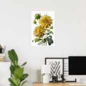 Yellow Dahlias Blume Art Print Poster (Heimbüro)