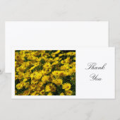 Yellow Daisies - Danke (Vorne/Hinten)