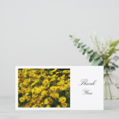 Yellow Daisies - Danke (Stehend Vorderseite)