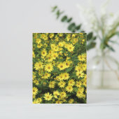 Yellow Daisies Postkarte (Stehend Vorderseite)