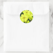 Yellow Daisies Runder Aufkleber (Tasche)