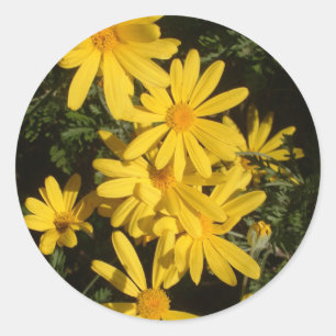 Yellow Daisies Runder Aufkleber
