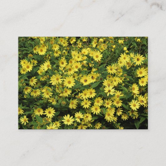 Yellow Daisies Visitenkarte (Vorderseite)