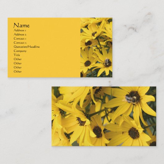 Yellow Daisis Flower Fotografy Business Card Visitenkarte (Vorne/Hinten)