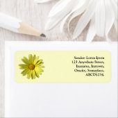 Yellow Daisy (Insitu)