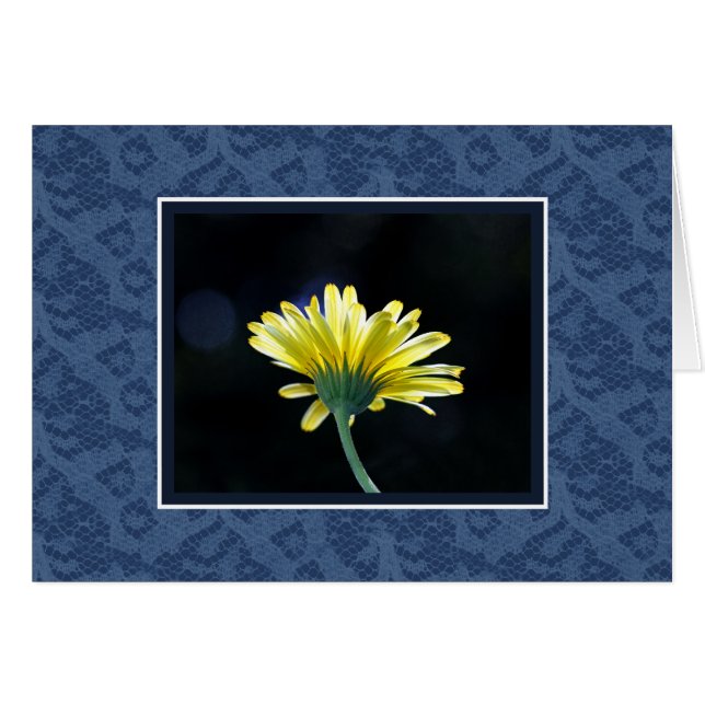 Yellow Daisy Blue Lace (Vorderseite (Horizontal))