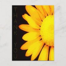 Yellow Daisy Blume Floral Artwork Danke