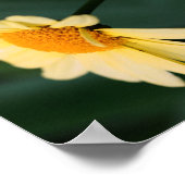 Yellow Daisy Blume Nah Up Mirror Abstrakt Poster (Ecke)