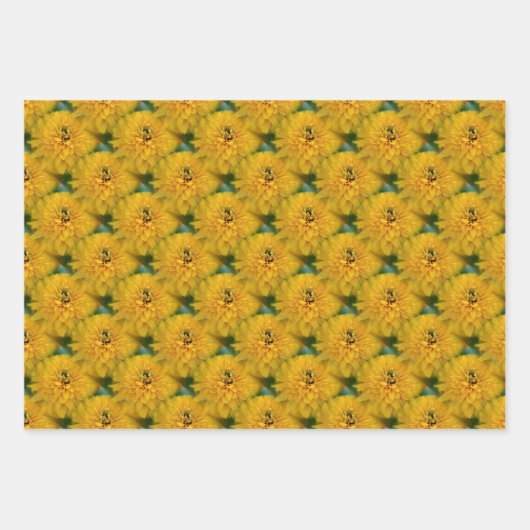 Yellow Daisy Blume Nattern Pattern Geschenkpapier Set (Vorderseite 3)