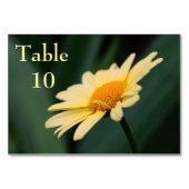 Yellow Daisy Blume Wedding Tischnummer (Vorderseite)