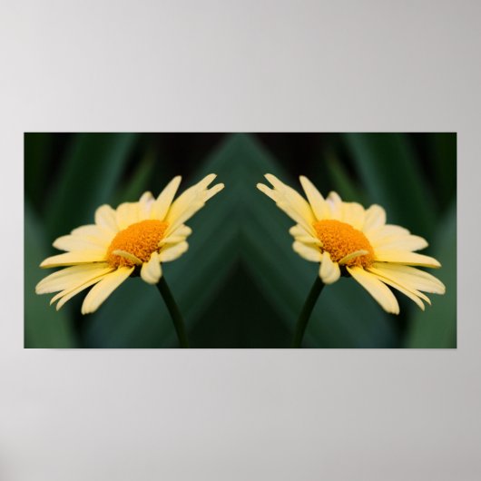 Yellow Daisy Blumen Mirror Abstrakt Poster (Vorne)